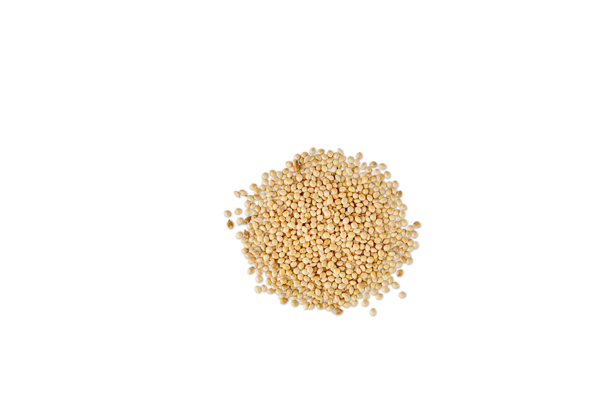 Seed, White Millet
