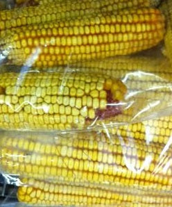 Seed, Dried Corn Cobb