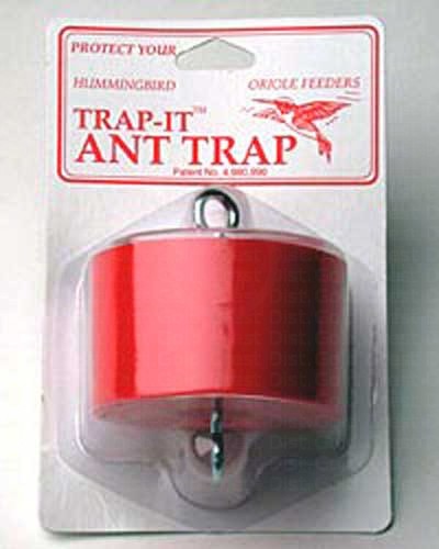 Trap It Ant Trap