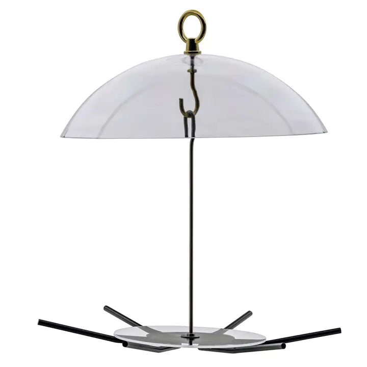 Feeder, Seed Cylinder with Dome