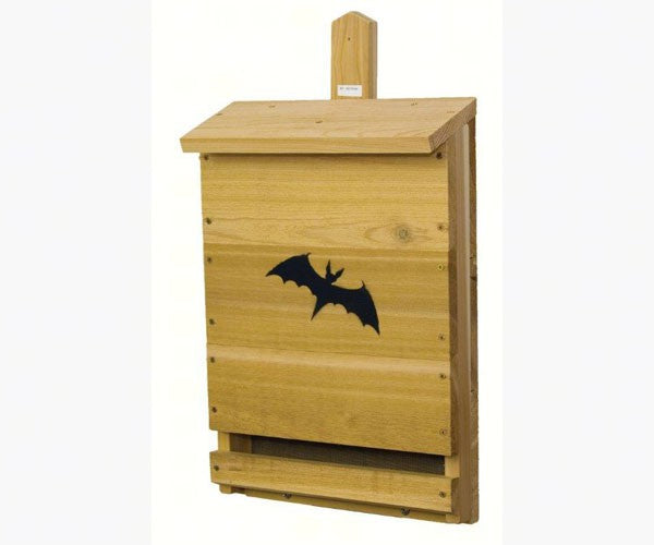 Bat House, Single Cell