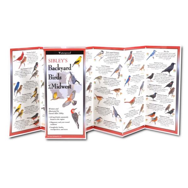 Sibley's Backyard Birds of the Midwest