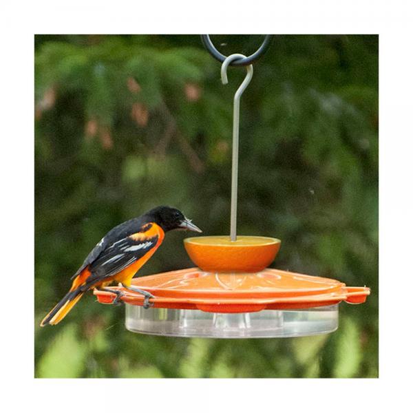 Feeder, Oriole, Classic