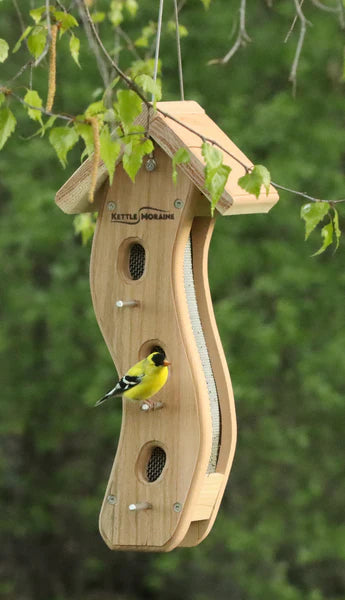 Feeder, Finch, Kettle Moraine Wave Small