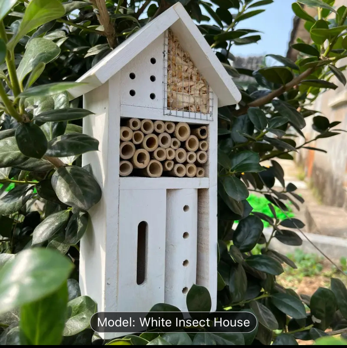 Insect house