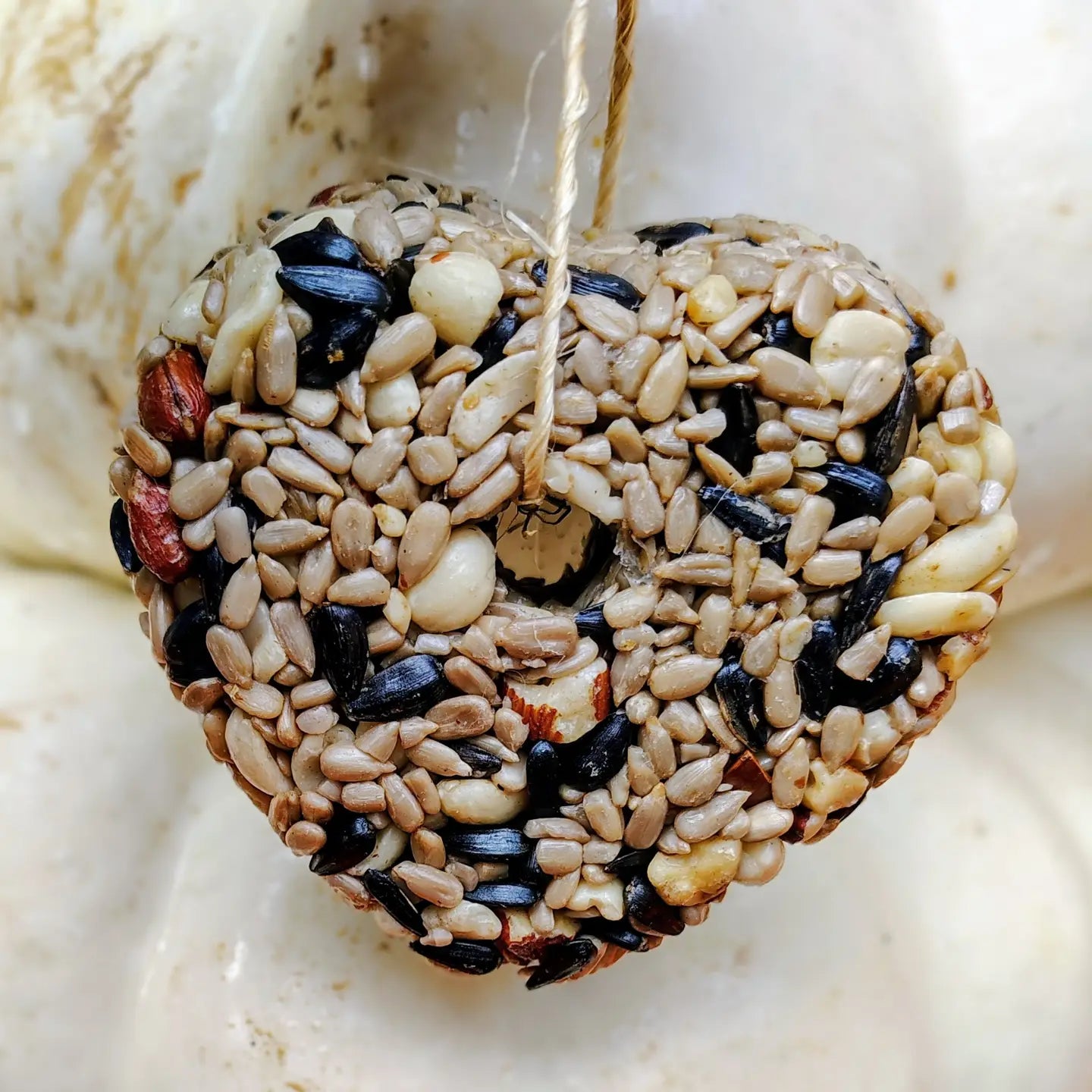 Seed Heart Ornament