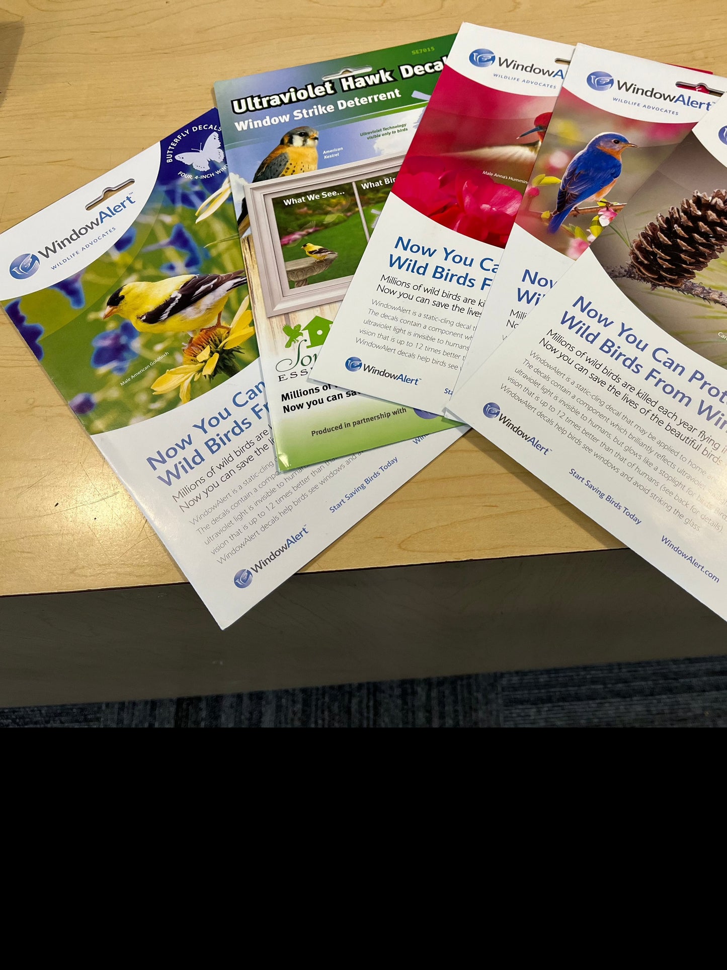 Decal, Window Alert Assorted