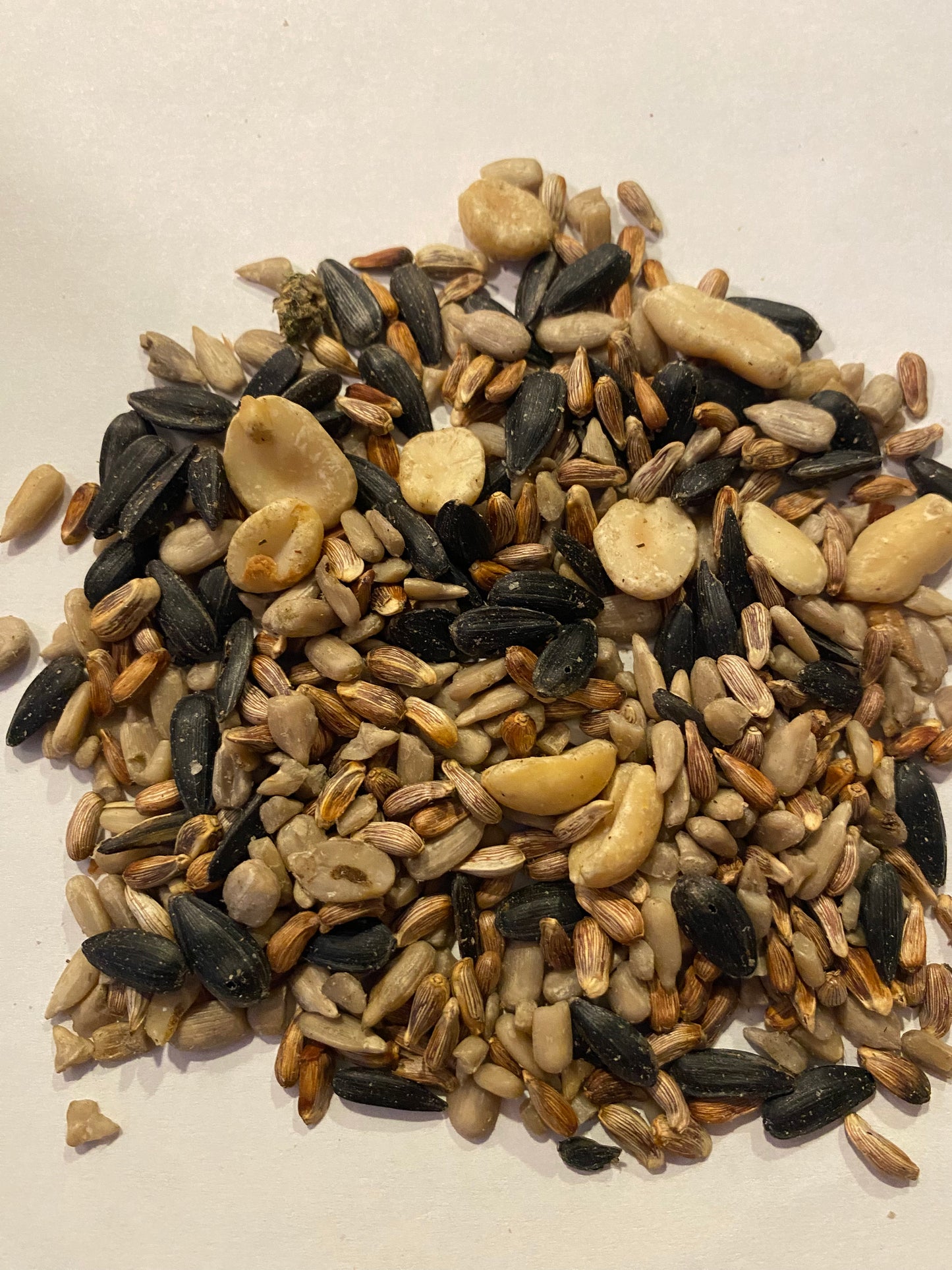 Seed, Frank's Songbird Mix