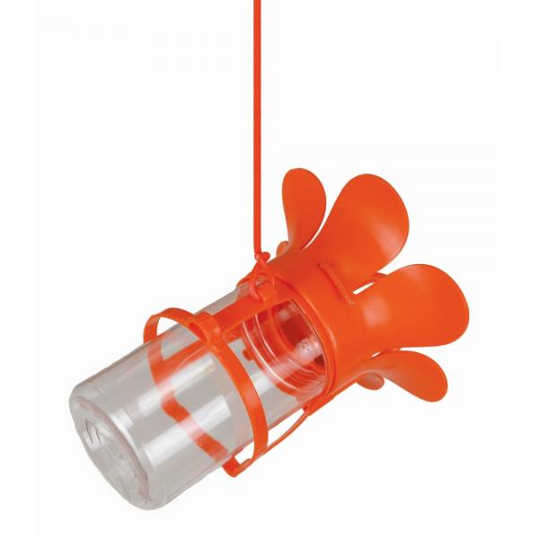 Feeder, Oriole, Jelly/Jam