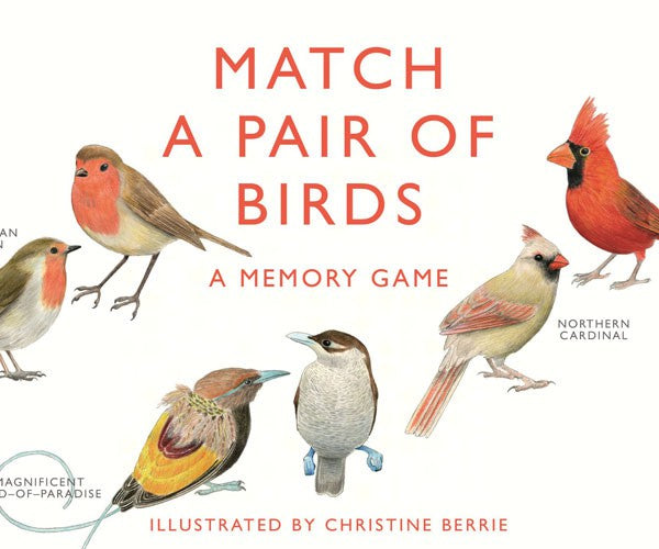 Match A Pair of Birds Memory Game