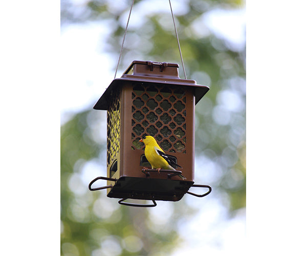 Feeder, Hopper Metal