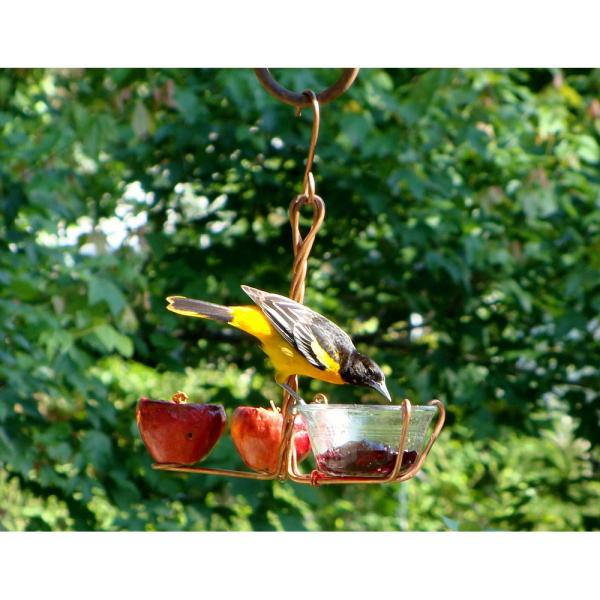 Feeder, Oriole, Fruit and Jelly