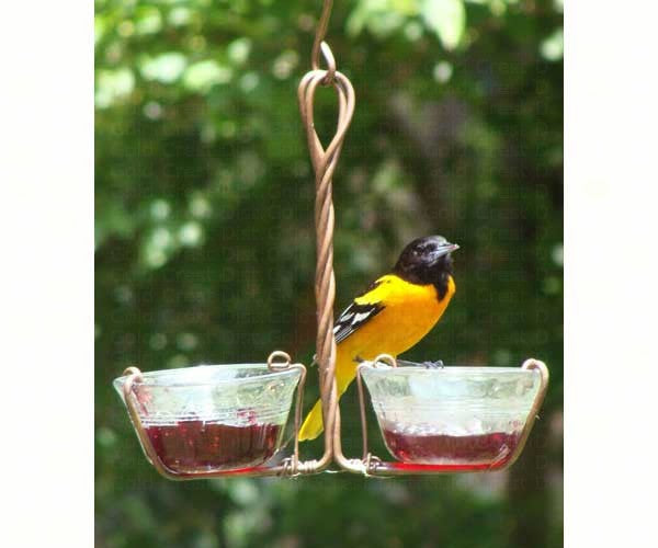 Feeder, Oriole, Two Cup Jelly
