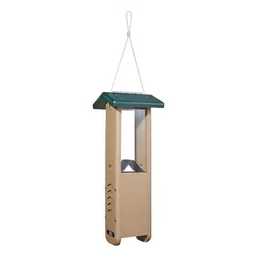 Feeder, Woodpecker, Birds Choice