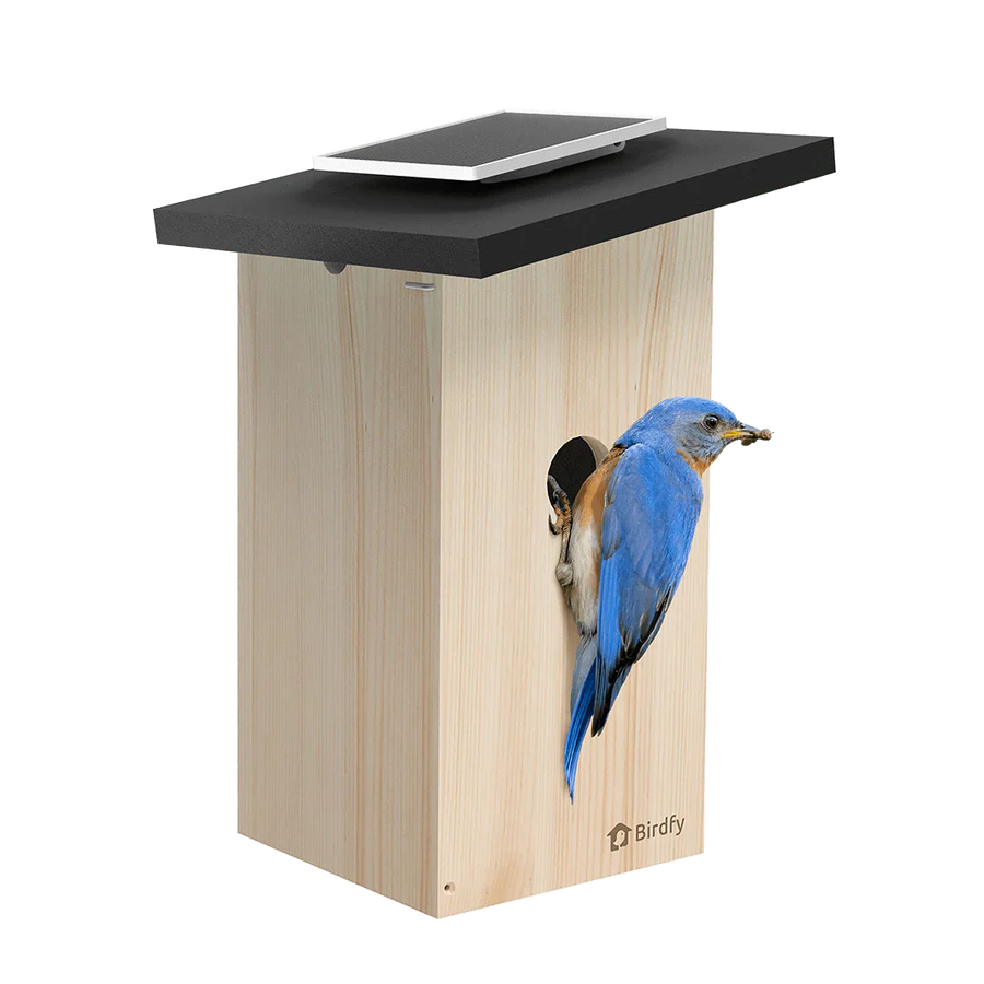 Birdfy Camera Nest Box