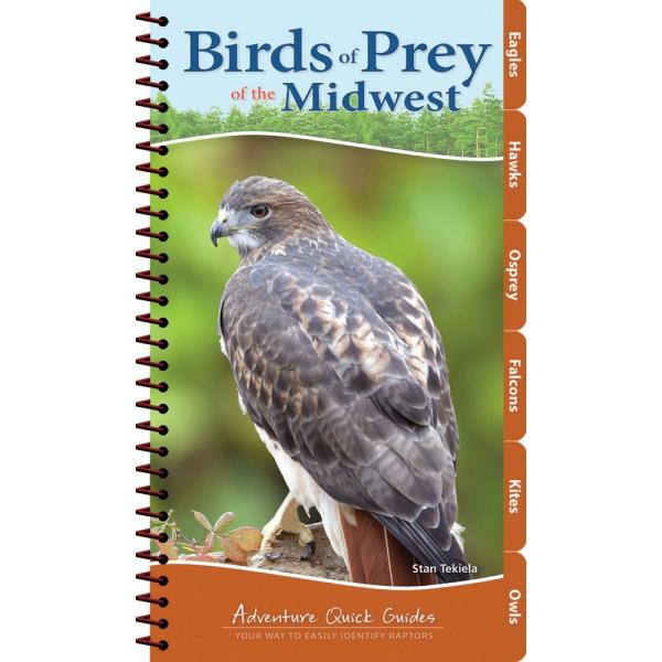 Book, Birds of Prey Midwest Quick Guide