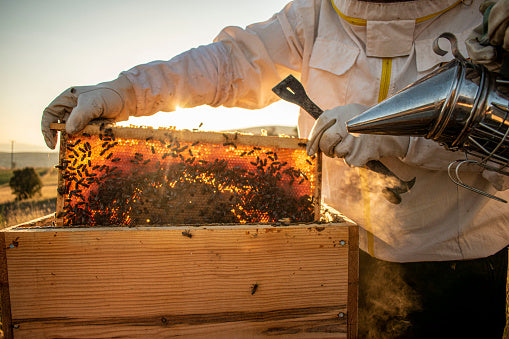 Beekeeping Supplies and Accessories