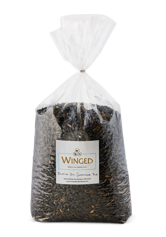 Seed, Black Oil Sunflower