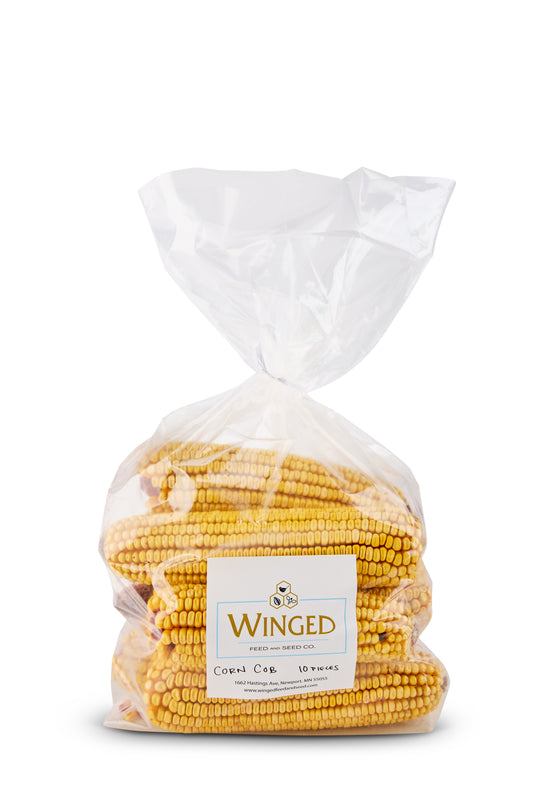 Seed, Dried Corn Cobb