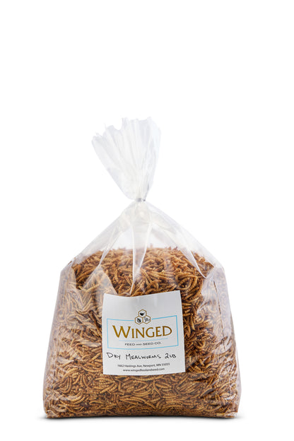 Mealworms, Dry