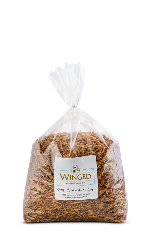 Mealworms, Dry