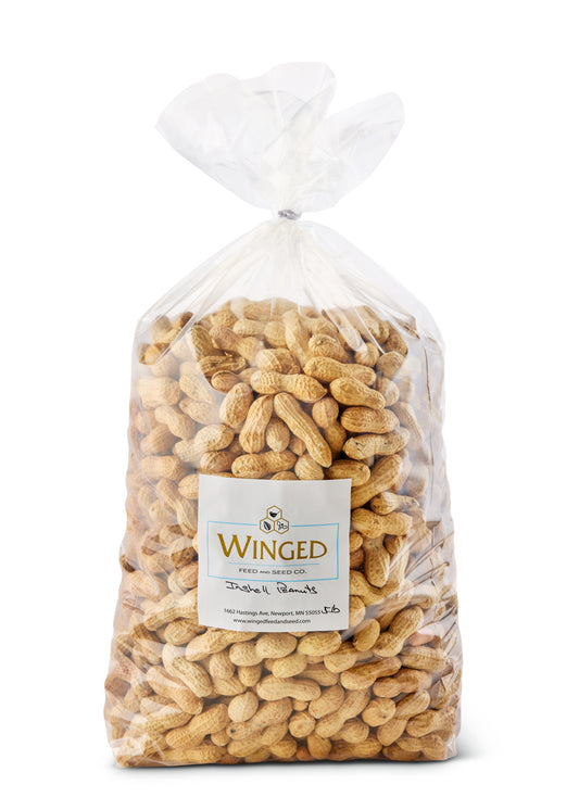 Seed, Whole Peanuts