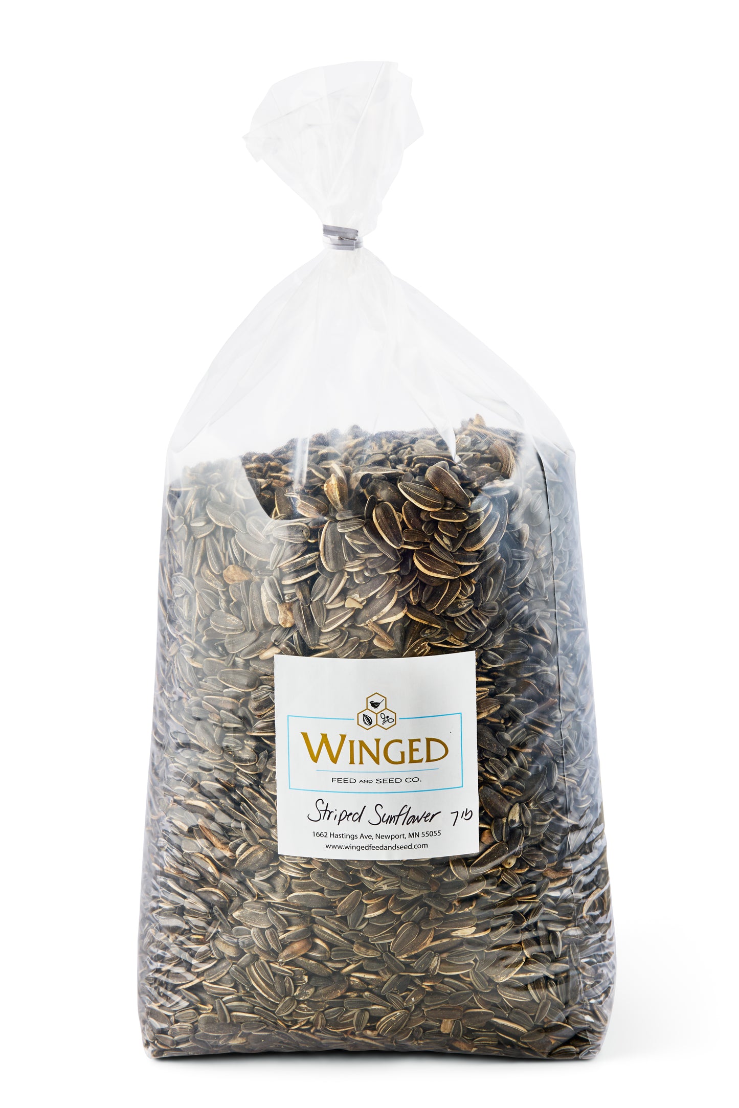Seed, Grey Striped Sunflower