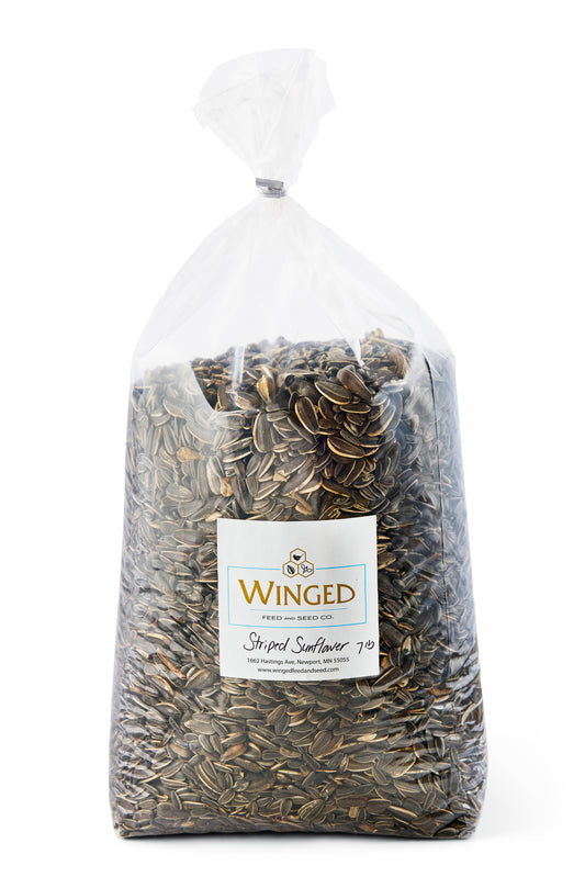 Seed, Grey Striped Sunflower