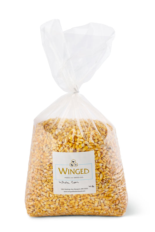 Seed, Whole Corn