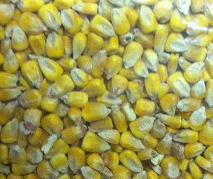 Whole Corn Wild Bird Seed