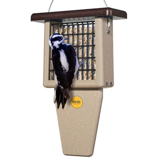 Feeder, Suet, Birds Choice