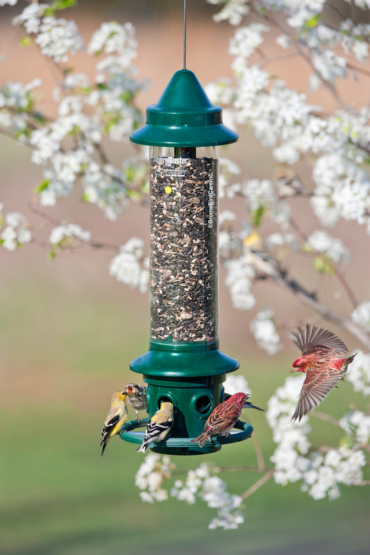 Brome Squirrel Buster Plus - Wild Bird Feeder