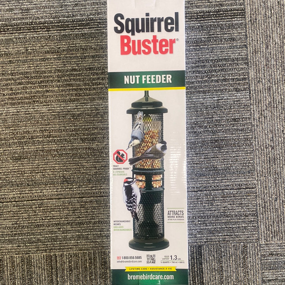 Brome Squirrel Buster Nut Feeder – Winged Feed and Seed Company