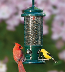 Brome Squirrel Buster Standard - Bird Feeder