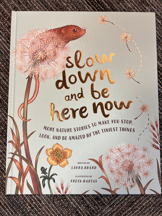 Book, Slow Down and Be Here Now