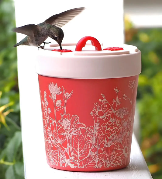 Feeder, Hummingbird, Anna's Healthy Hummingbird