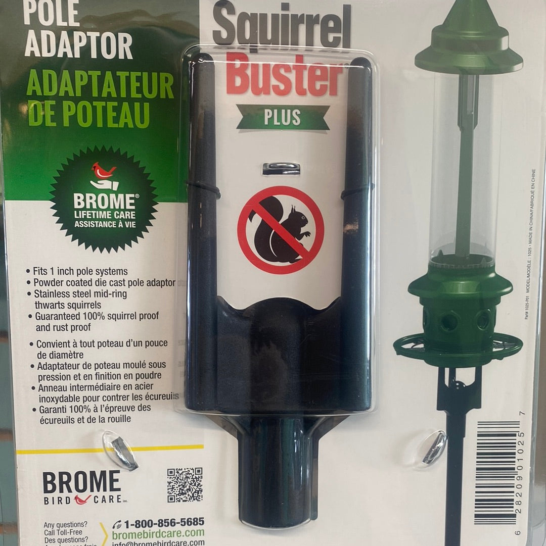 Brome Squirrel Buster Plus Pole Adapter – Winged Feed and Seed Company