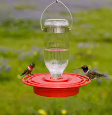 Feeder, Hummingbird Glass - 8 oz.