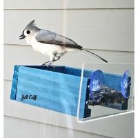 Feeder, Petite Blue Window