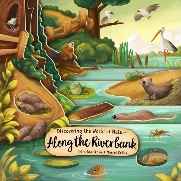 Book, Children's Discovery