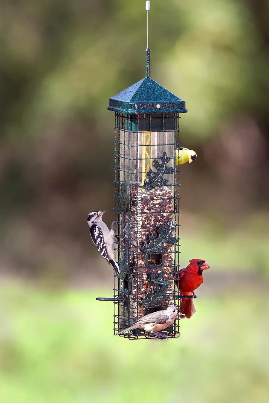 Feeder, Tube, Brome Squirrel Solution 200