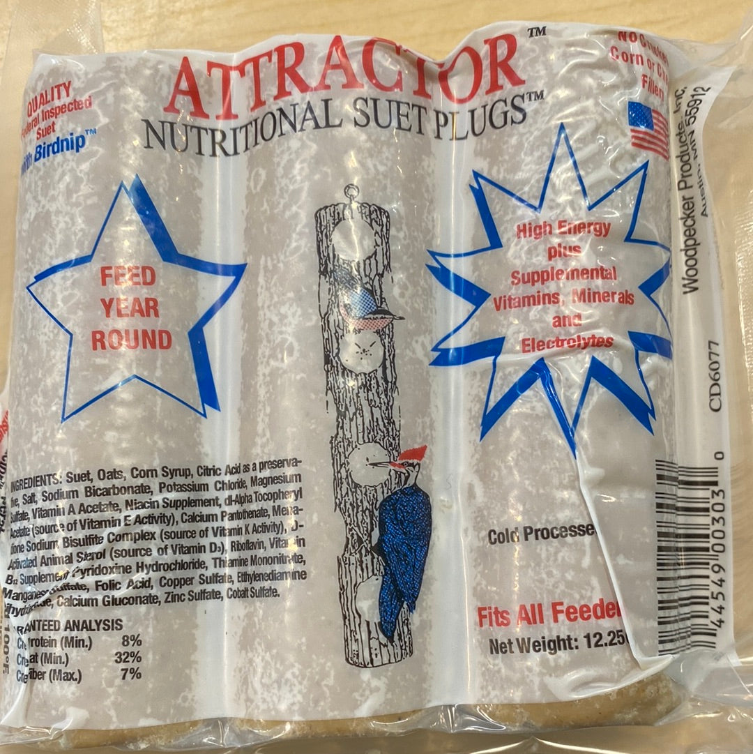 Suet Plug, Attractor Nutritional Suet Winged Feed and Seed Company