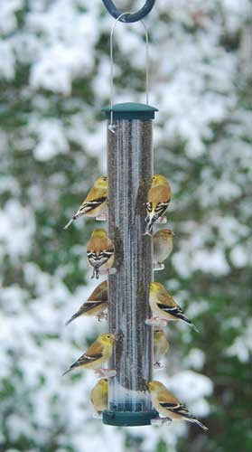 Feeder, Finch Tube, Aspects Quick-Clean Large Spruce