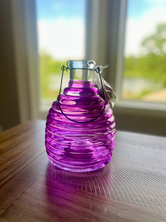 Glass Wasp Trap