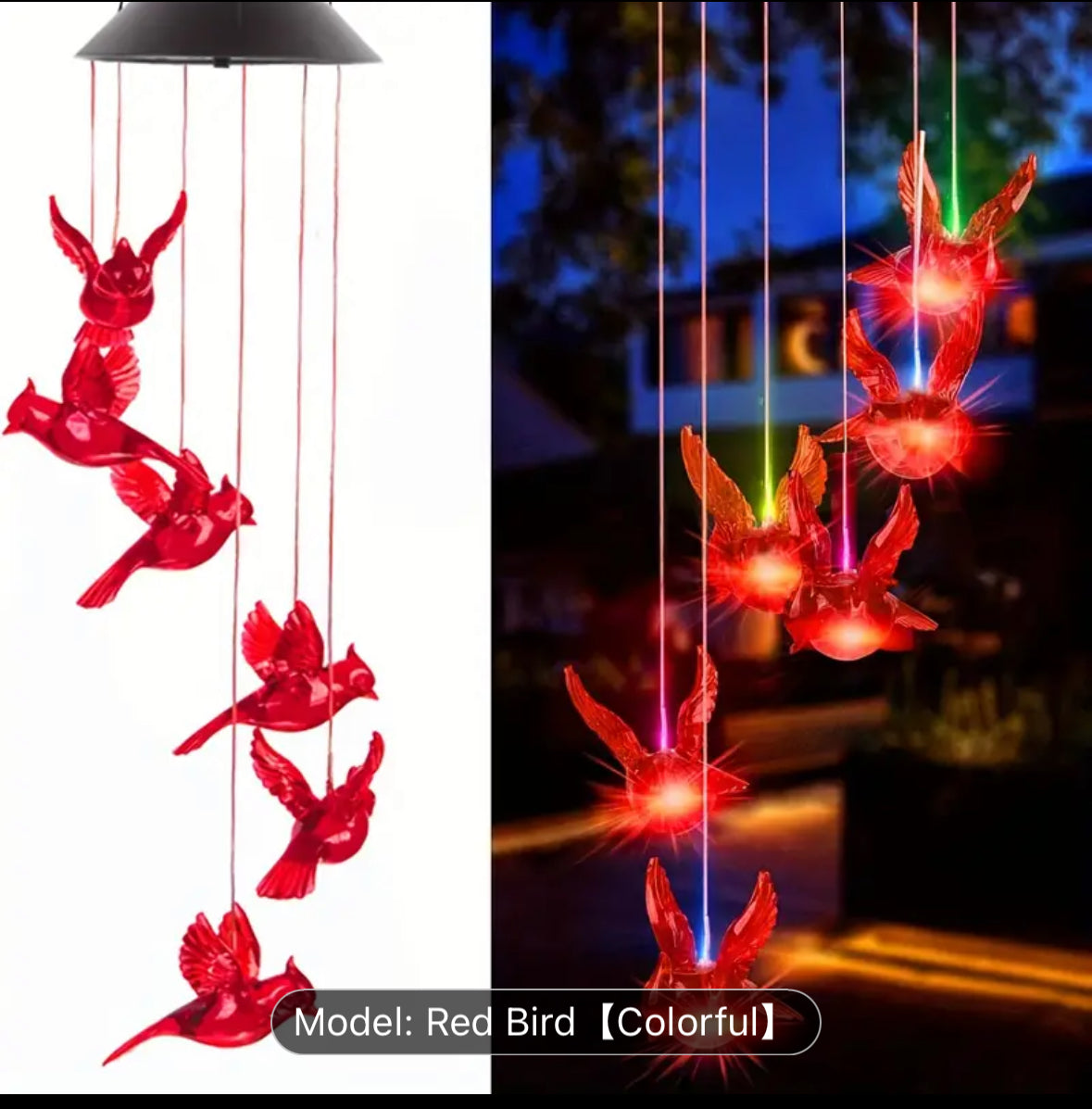 Solar cardinal garden light