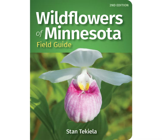 Wildflowers of Minnesota