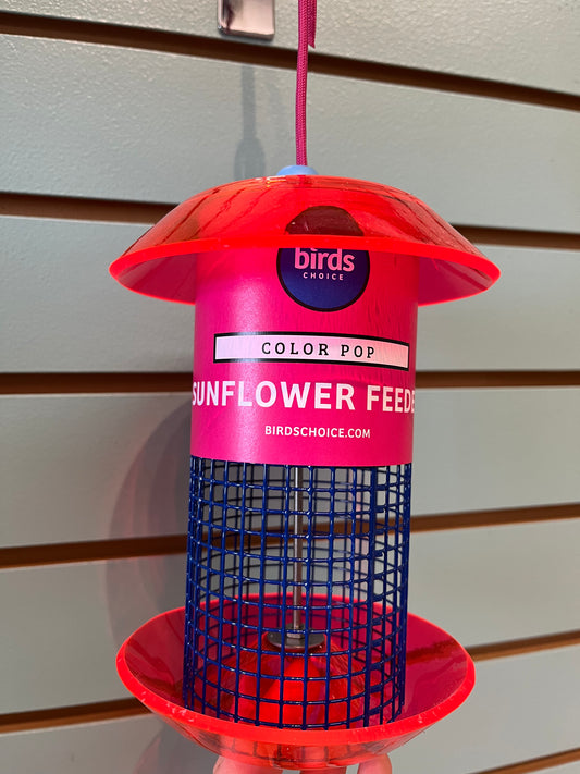 Feeder, Small Sunflower BIrds Choice