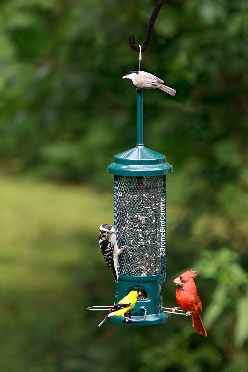 Brome Squirrel Buster Legacy - Wild Bird Feeder