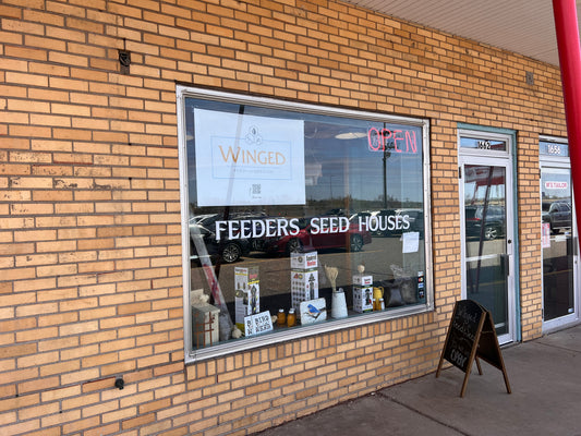 General Merchandise, Non-Holiday