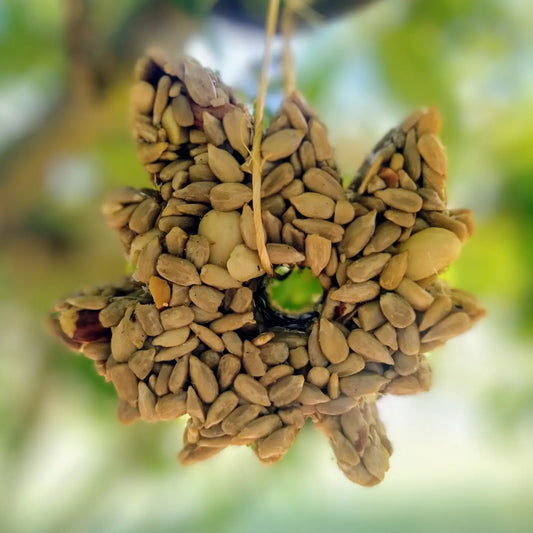 Seed Leaf Ornament